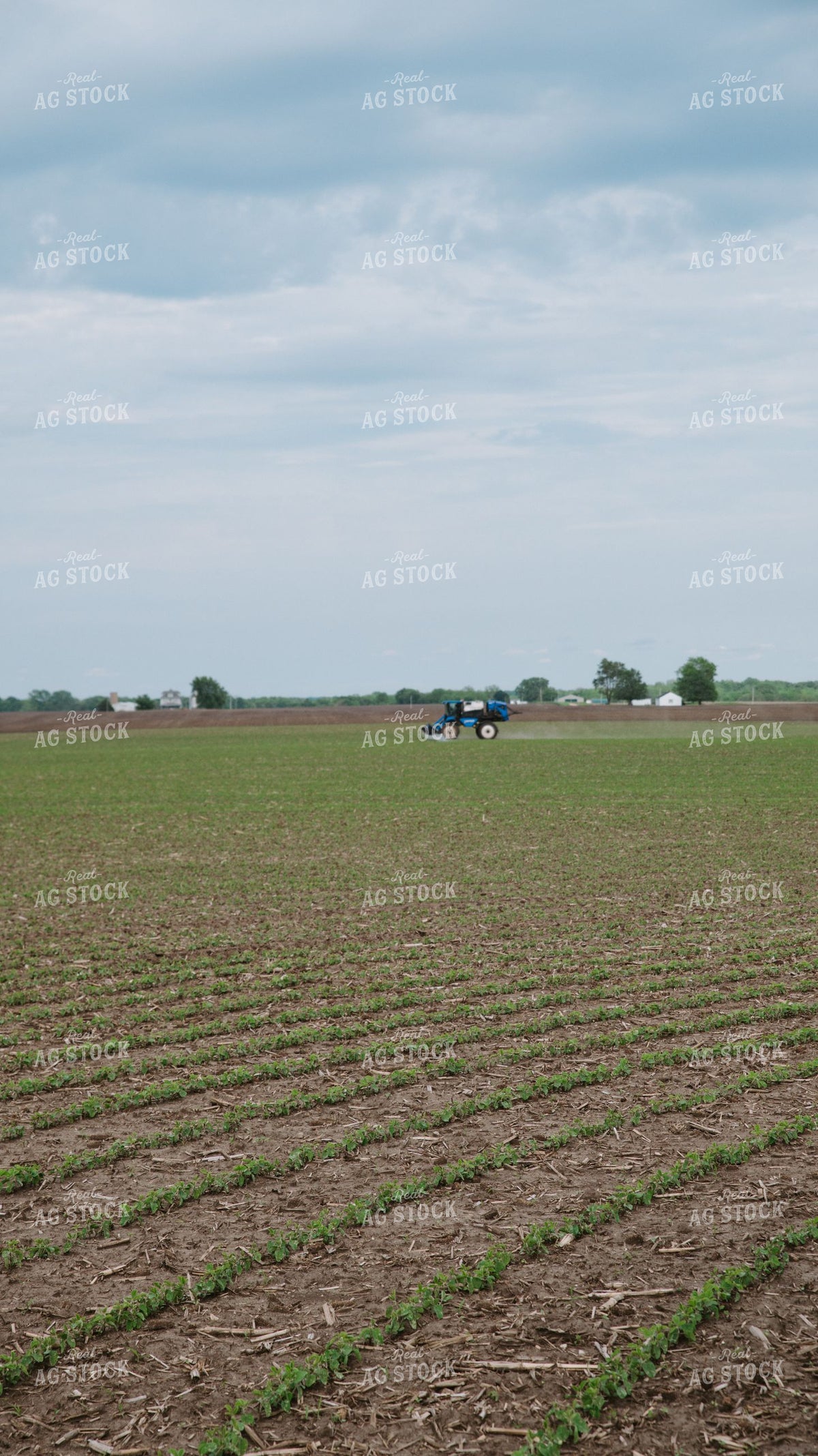 Self-Propelled Sprayer Applying Crop Protection to Early-Season Soybean Field 401036