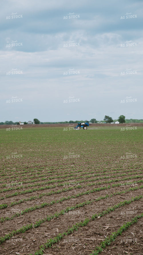 Self-Propelled Sprayer Applying Crop Protection to Early-Season Soybean Field 401036