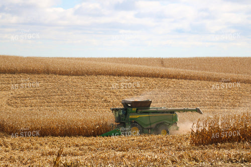 Corn Harvest 82327