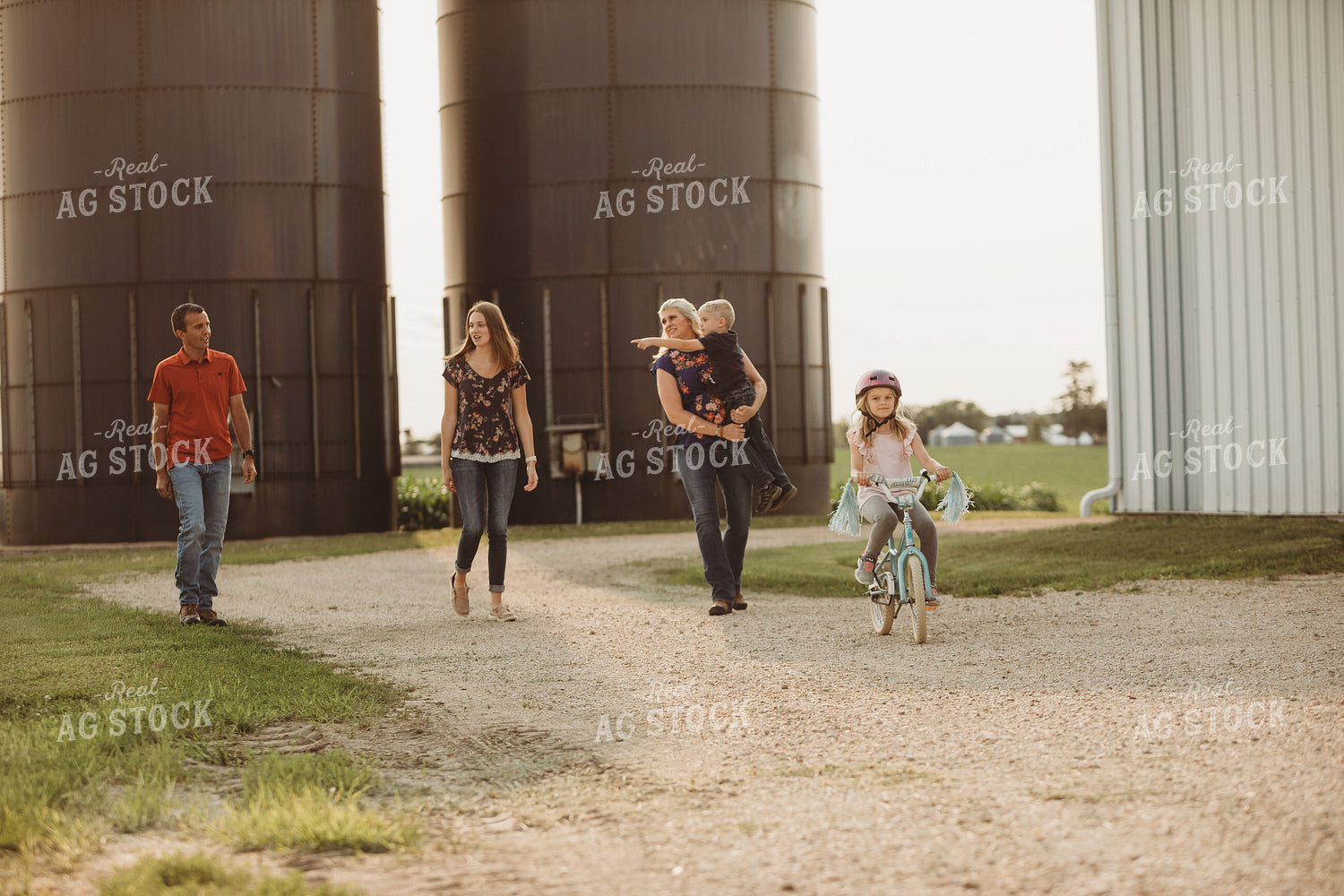Farm Family Walking Along Corn Field and Shed 4473