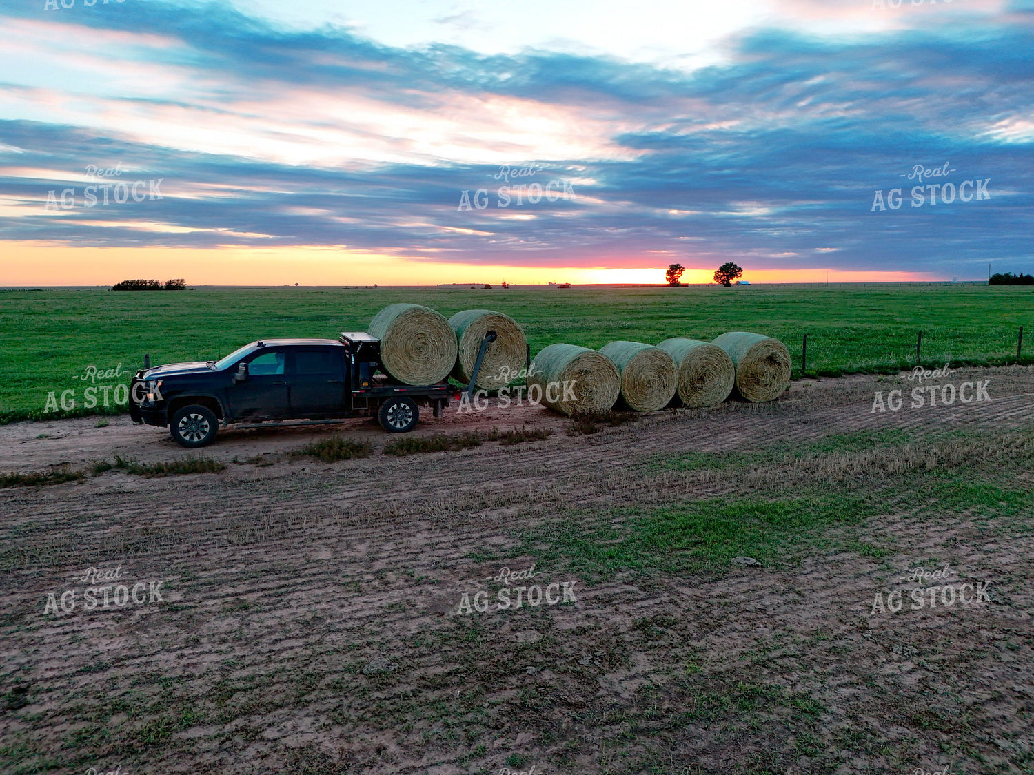 Moving Bales 239620