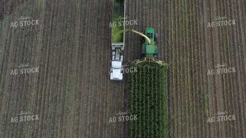 Chopping Corn Silage Drone 56322