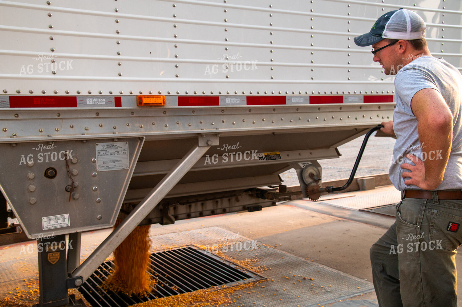 Farmer Unloading Corn from Hopper Bottom Semi to Grain Pit 25474
