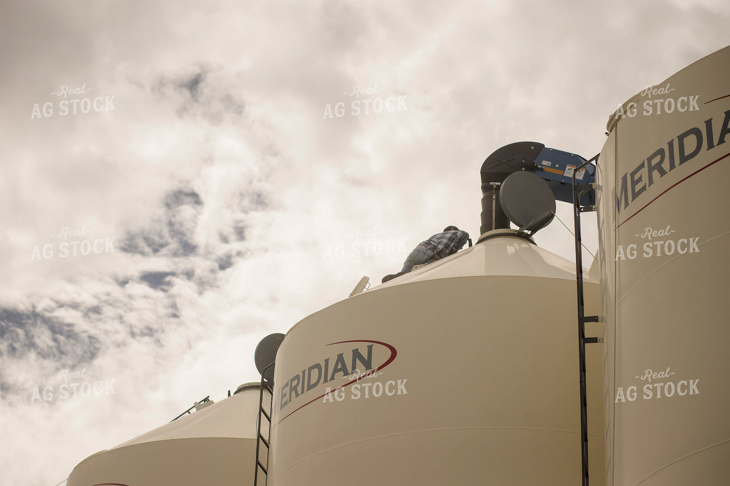 Storing Grain 135119