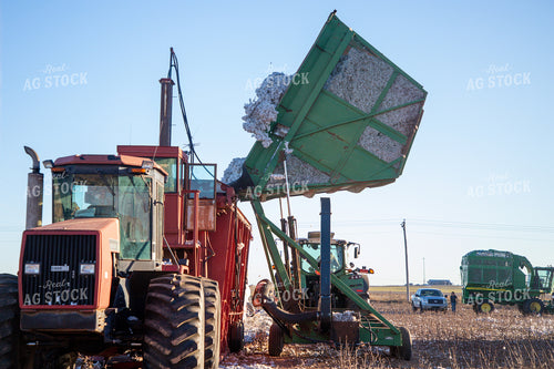 Unloading Harvested Cotton into Module Builder 208115