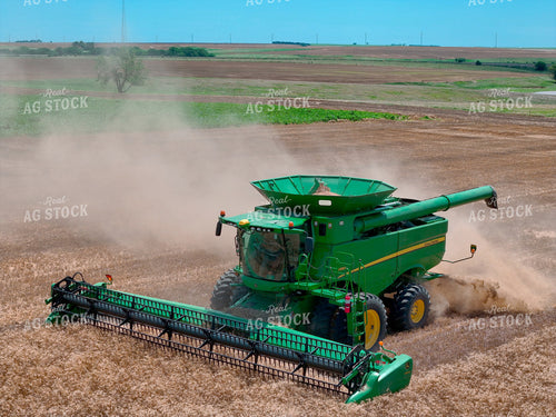 Harvesting Wheat 239606
