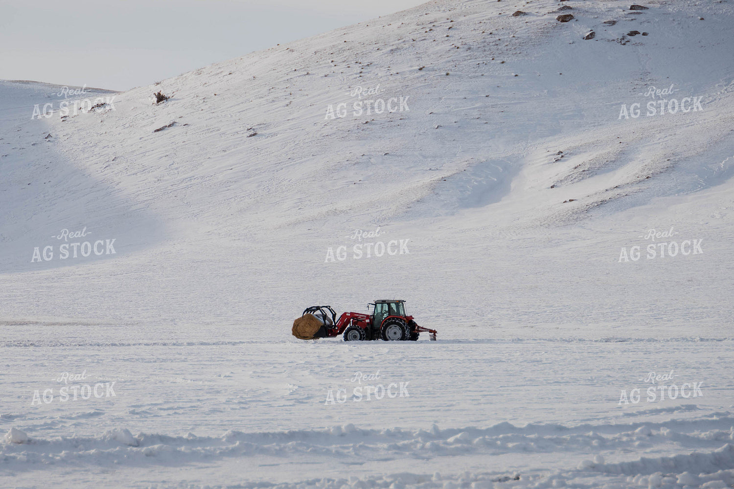 Moving Hay Bale Through Snow 97123