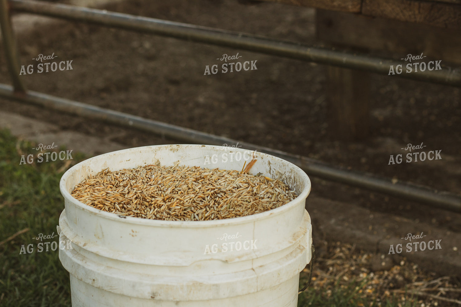 Feed Bucket 67854
