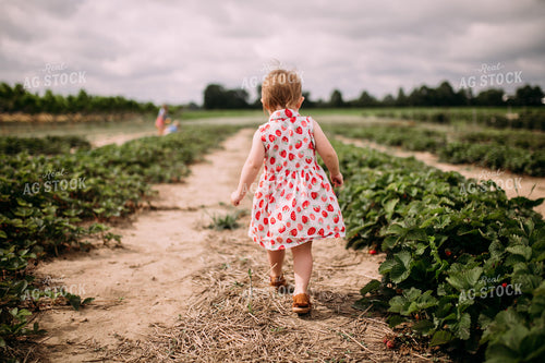 Farm Kid in Strawberry Patch 169025