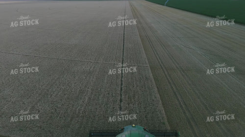 Wheat Harvest 239355