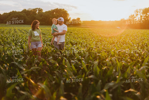 Farm Family Checking Corn 8837
