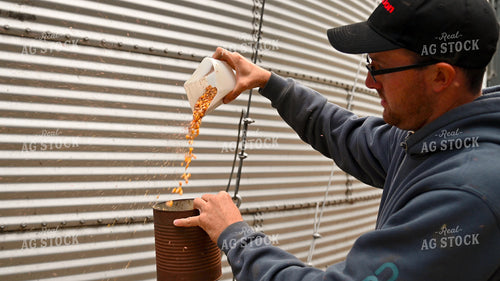 Farmer Testing Corn Moisture On-farm Storage 25617