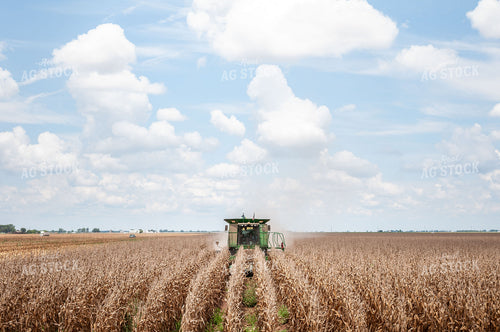 Combining Corn 59012