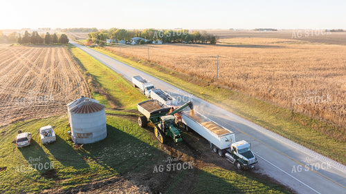 Corn Harvest 274001