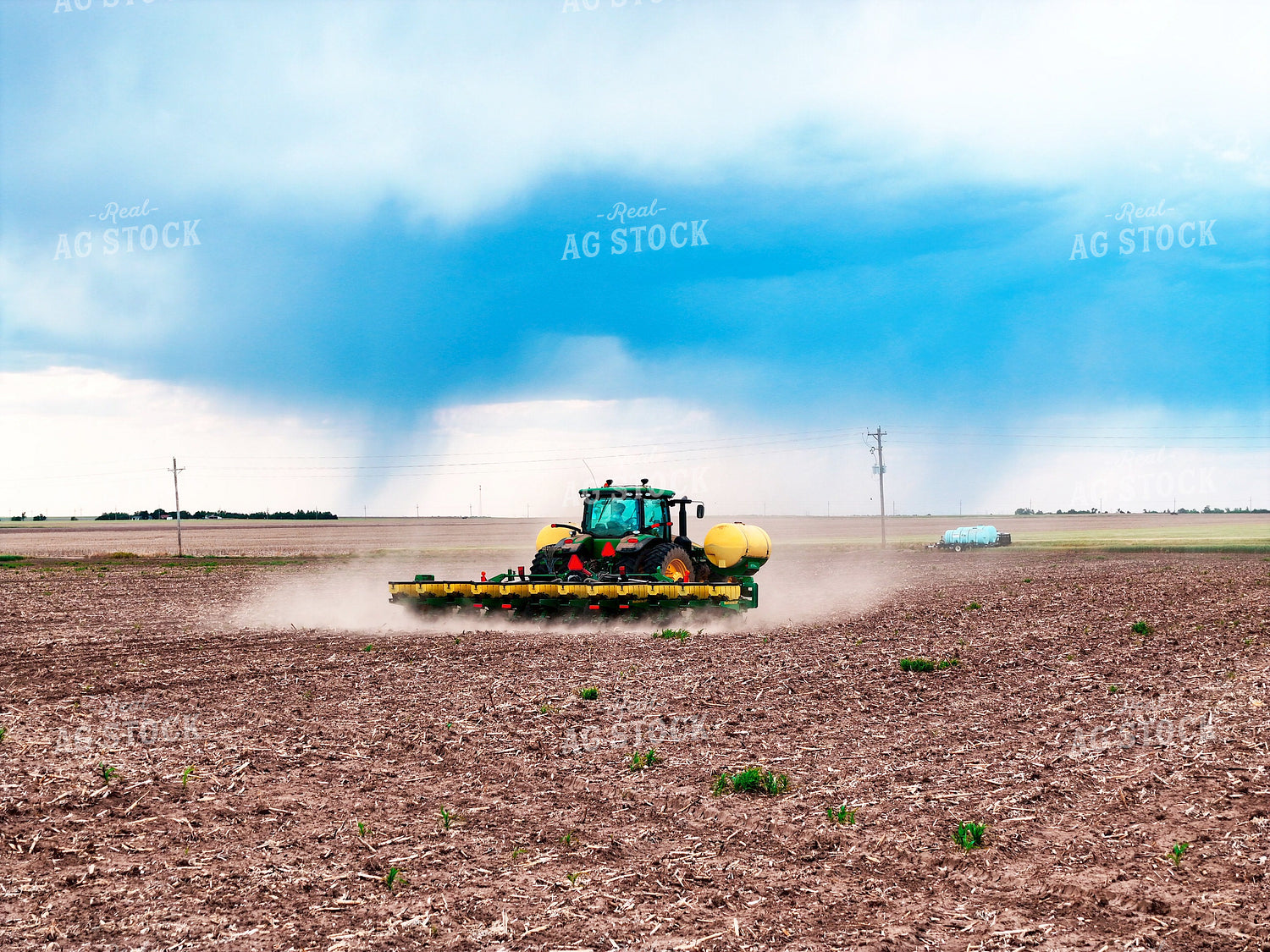Planting 239590