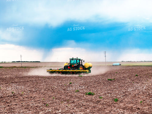 Planting 239590