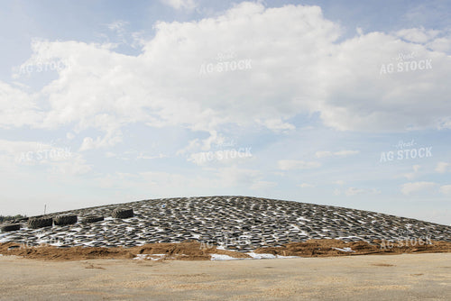 Corn Silage Pile at Dairy Farm 152571