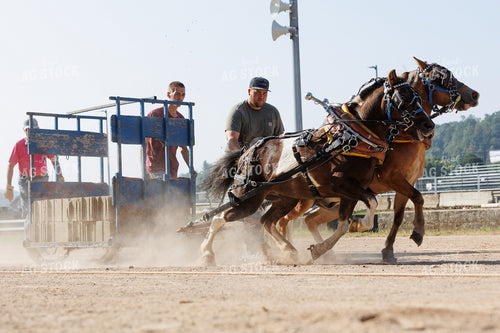Horse Pulling 52896