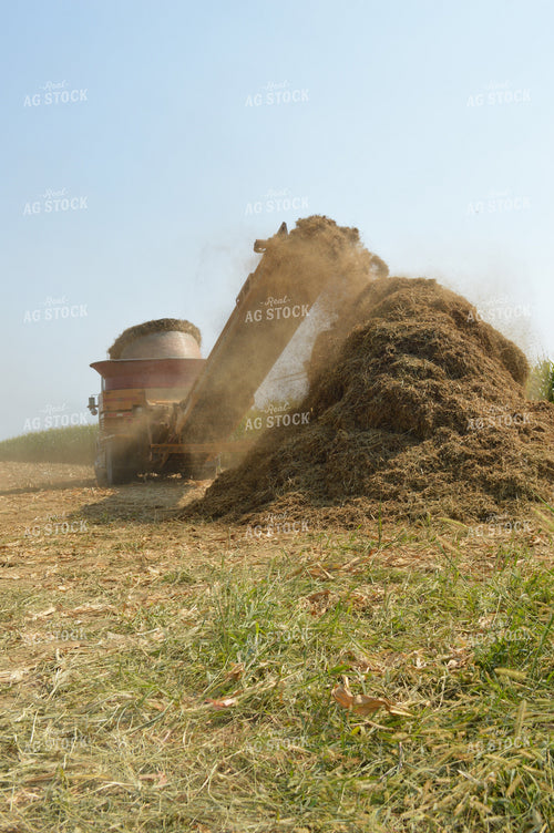 Grinding Hay 206061