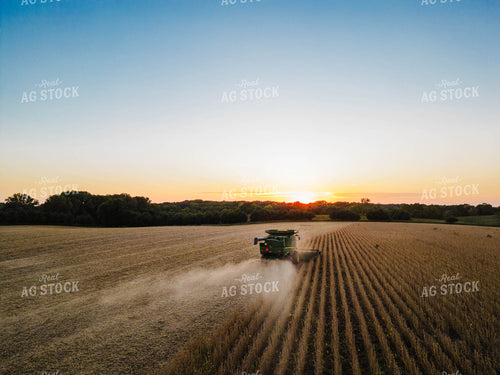 Soybean Harvest 115119