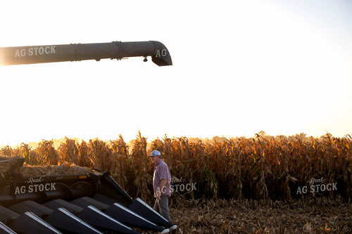 Farmer Walking by Combine 115562