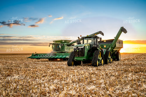 Corn Harvest 185137