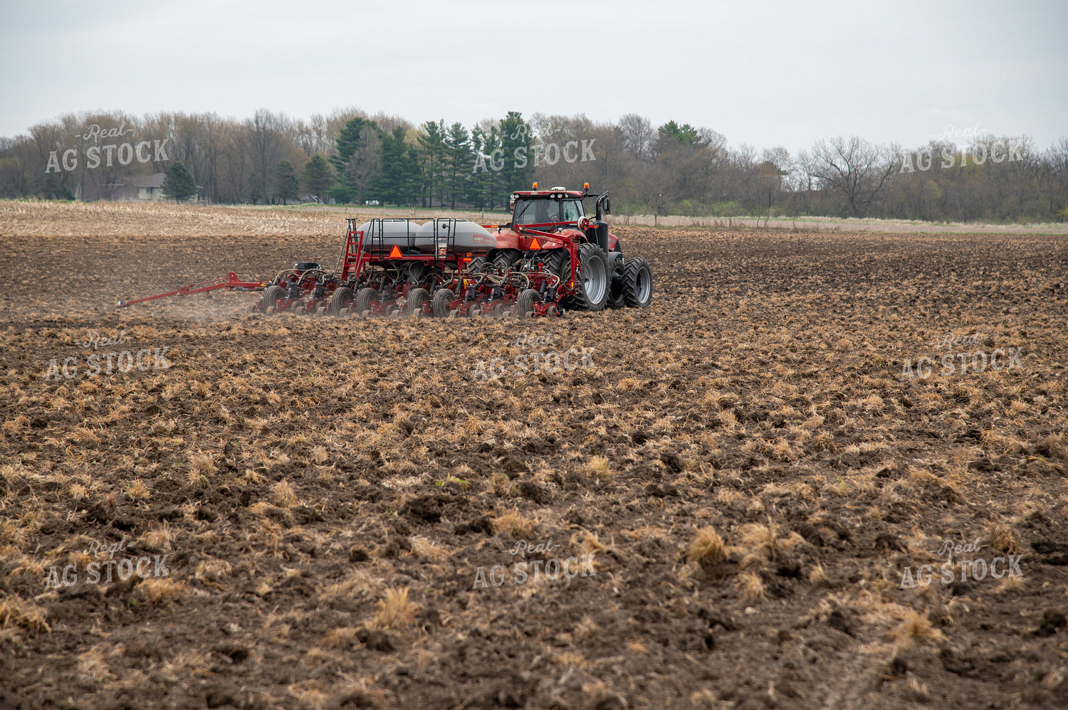 Planting into Tilled Cover Crops 25120