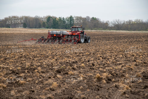 Planting into Tilled Cover Crops 25120