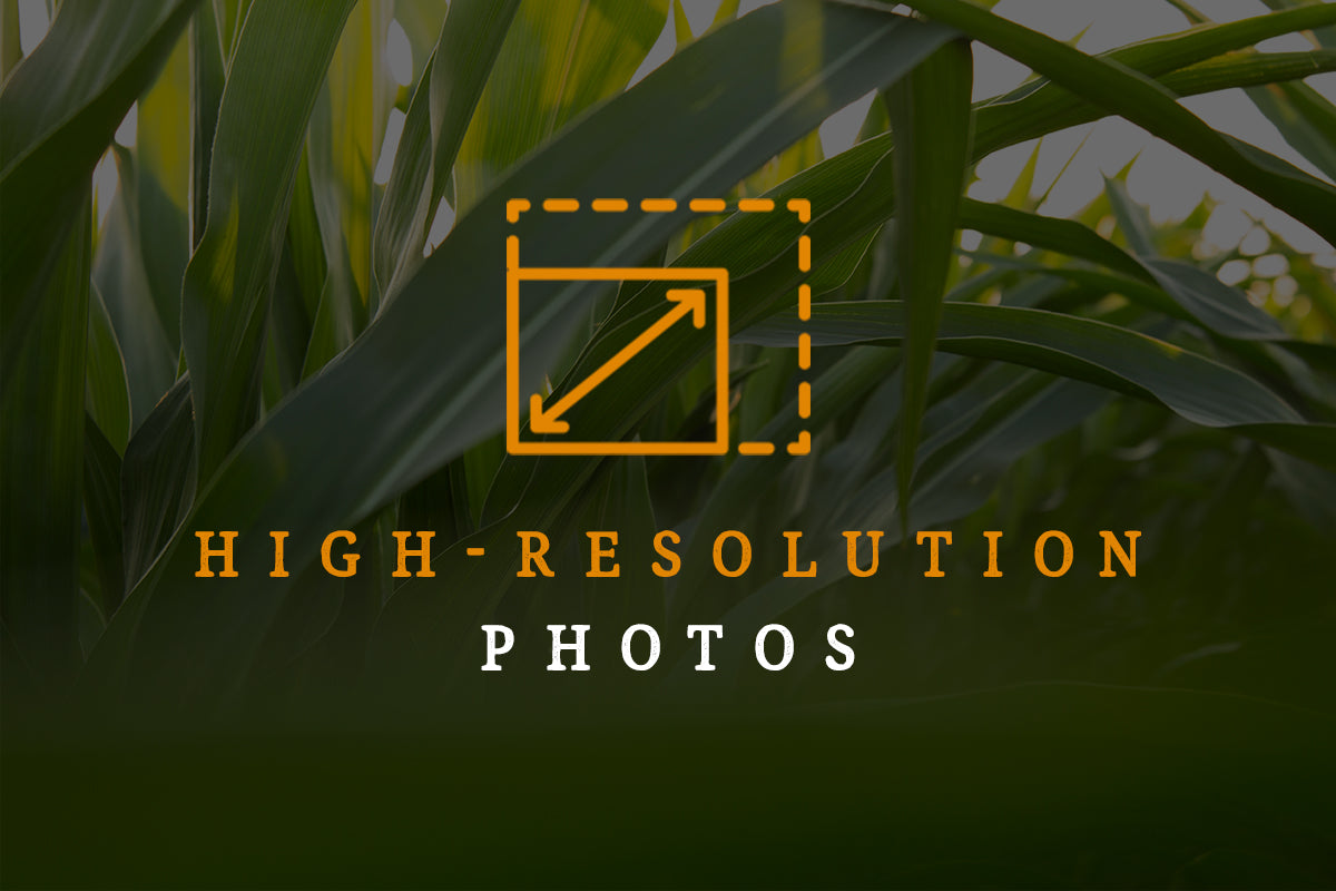 Upgrade from Standard to High Resolution