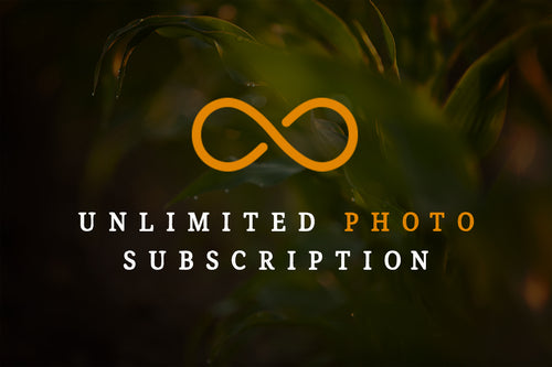 Unlimited Photo Subscription